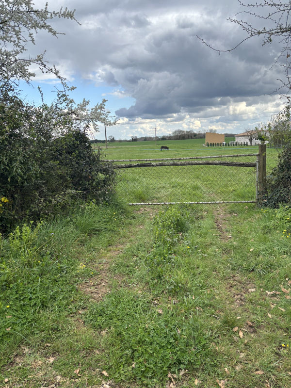 Offres de vente Terrain à batir Cloué 86600